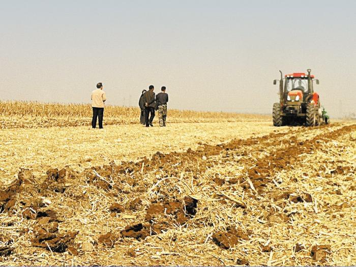 深耕细作待丰收.jpg 深耕细作待丰收.jpg