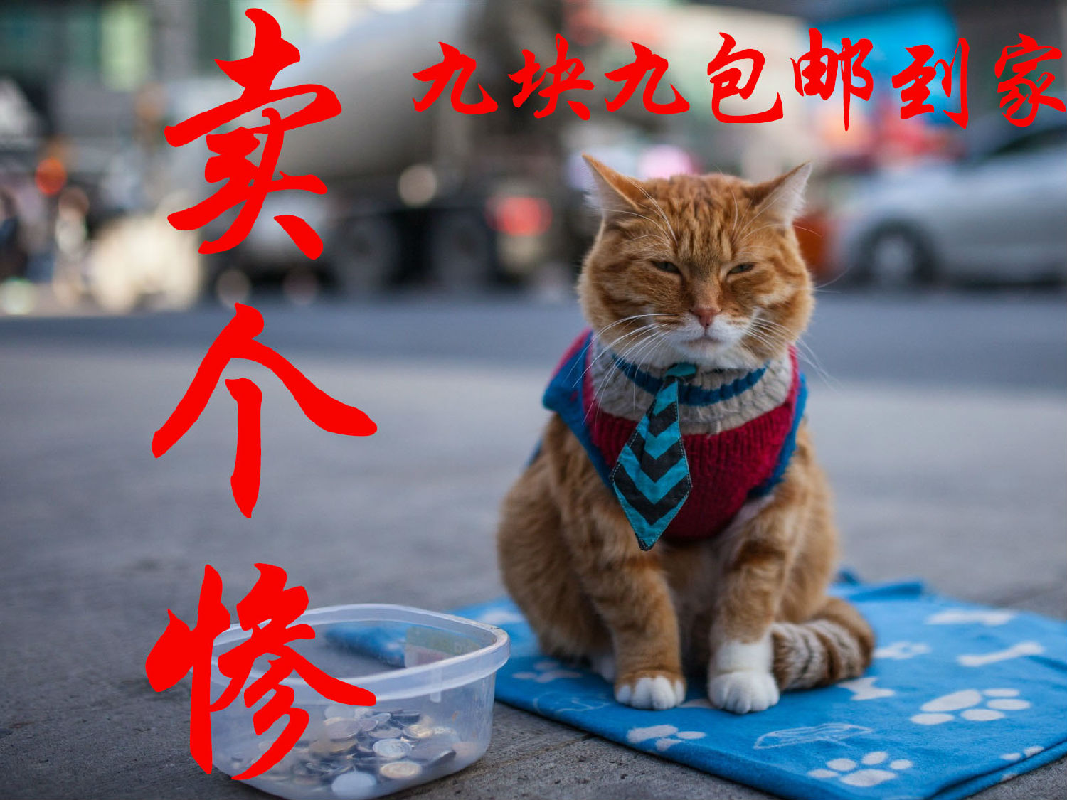 卖惨.jpg 卖惨.jpg